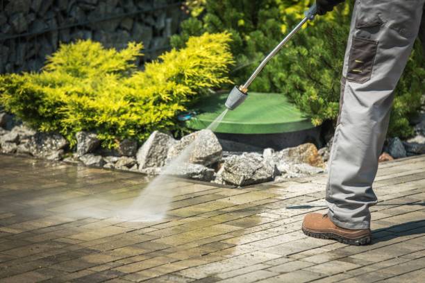 Best Dumpster Area Cleaning  in Millers Creek, NC